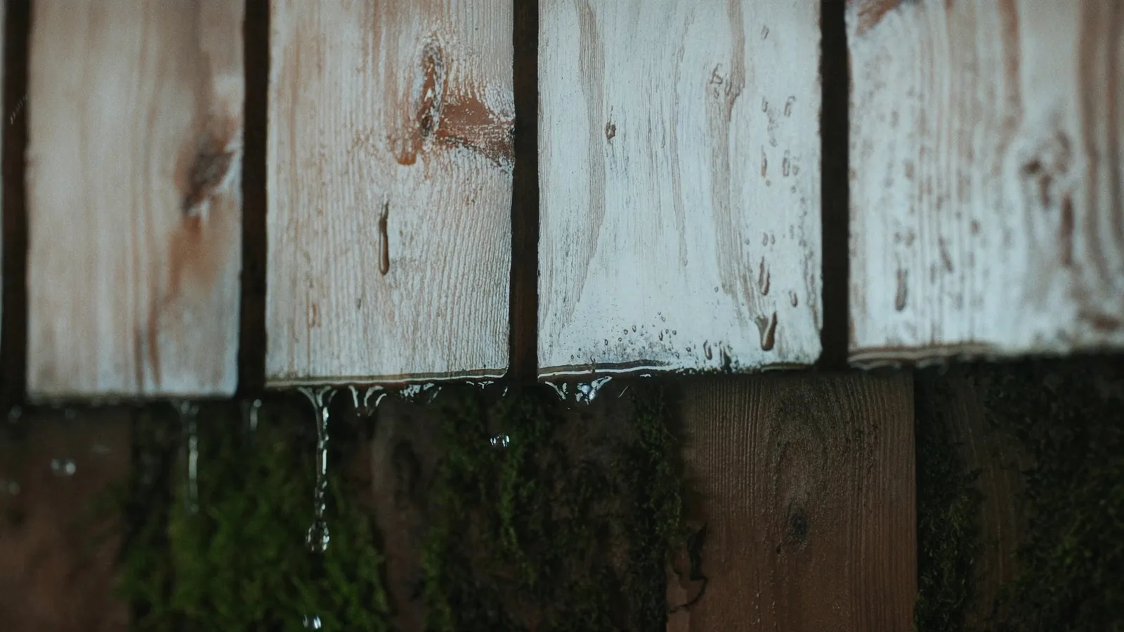 How to Protect Your Wood Fence from PNW Rain