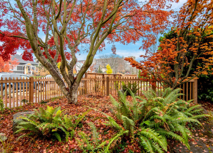 tacoma-residential-fencing-11